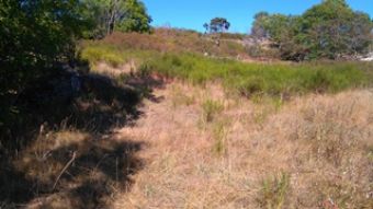 Terrain constructible proche du Lac de Naussac