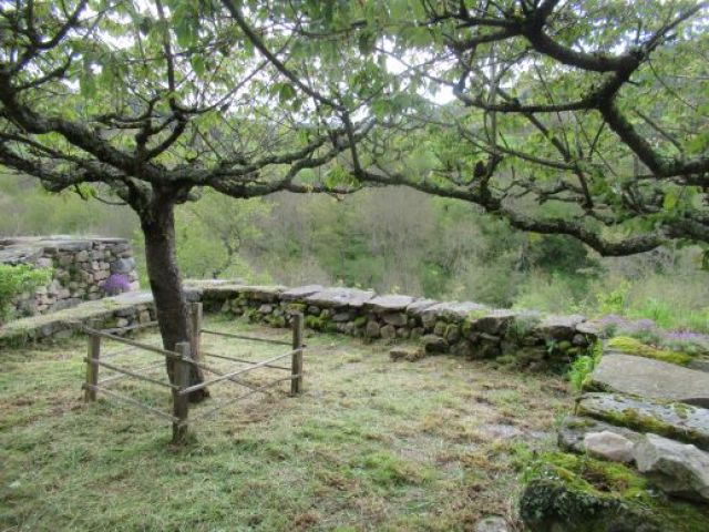 Ferme restaurée avec 7 hectares de terrain