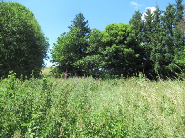 Ancienne ferme avec 2500 m² de terrain