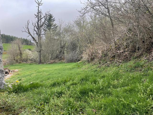 Jolie corps de ferme à rénover avec 2000 m² terrain attenant