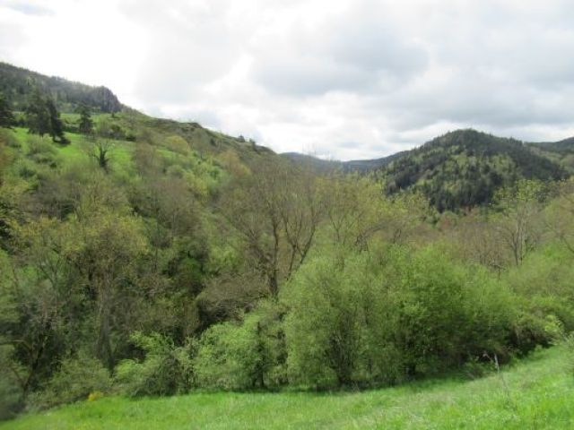 Ferme restaurée avec 7 hectares de terrain